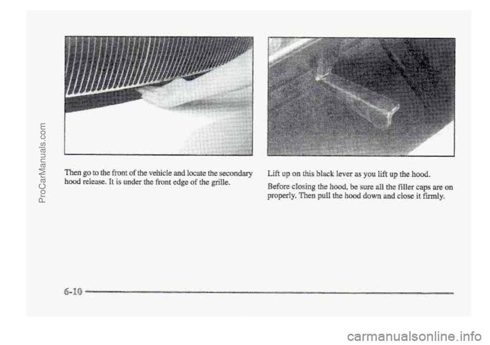 BUICK PARK AVENUE 1998  Owners Manual ProCarManuals.com 