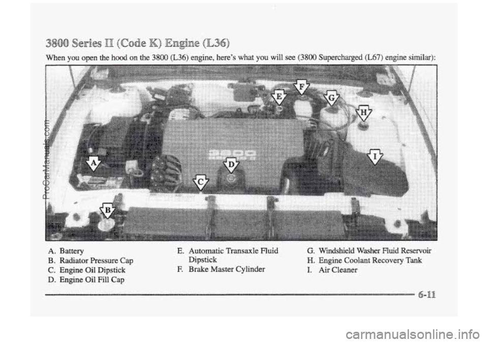 BUICK PARK AVENUE 1998  Owners Manual A. Battery 
B. Radiator  Pressure Cap 
C. Engine  Oil Dipstick 
D. Engine Oil Fill Cap 
@. Wmcishield  Wisher Fluid Reservoir 
H. Engine Cdmt Recovery  Tank 
I. Air Cleaner 
ProCarManuals.com 