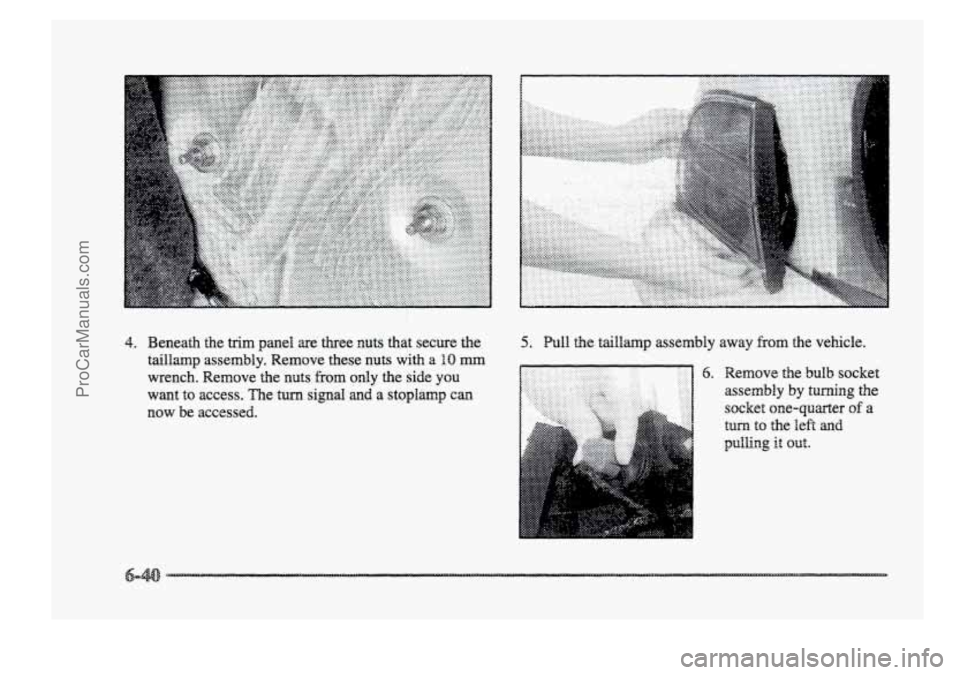 BUICK PARK AVENUE 1998 Owners Manual 4. Beneath the trim panel are three nuts that secure the
taillamp assembly. Remove these nuts with
a BO mm
wrench. Remove the nuts from only the side you
want
to access. The turn si BUICK PARK AVENUE 1998 Owners Manual 4. Beneath the trim panel are three nuts that secure the
taillamp assembly. Remove these nuts with
a BO mm
wrench. Remove the nuts from only the side you
want
to access. The turn si