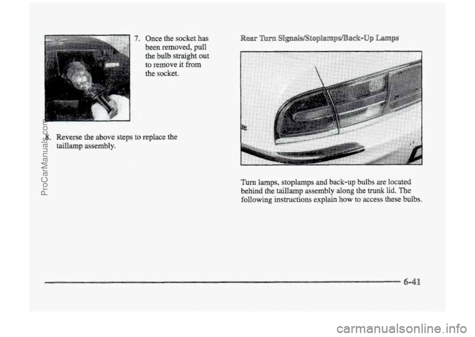 BUICK PARK AVENUE 1998 Owners Manual 7. Once the socket has
been removed,
pull
the bulb straight out
to remove
it from
the socket.
8. Reverse the above steps to replace the
taiUamp assembly.
Turn
lamps, stoplamps and BUICK PARK AVENUE 1998 Owners Manual 7. Once the socket has
been removed,
pull
the bulb straight out
to remove
it from
the socket.
8. Reverse the above steps to replace the
taiUamp assembly.
Turn
lamps, stoplamps and