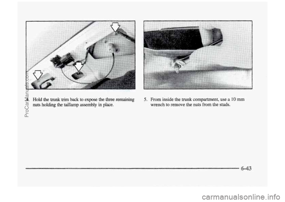 BUICK PARK AVENUE 1998  Owners Manual . .. 
4. Hold the treEnk trim back to expose the three mnaining 
nuts holding the taillamp assembly in place. 
5. From inside the tmnk compment, use a 10 mppl 
wrench to remove  the nuts from the stud