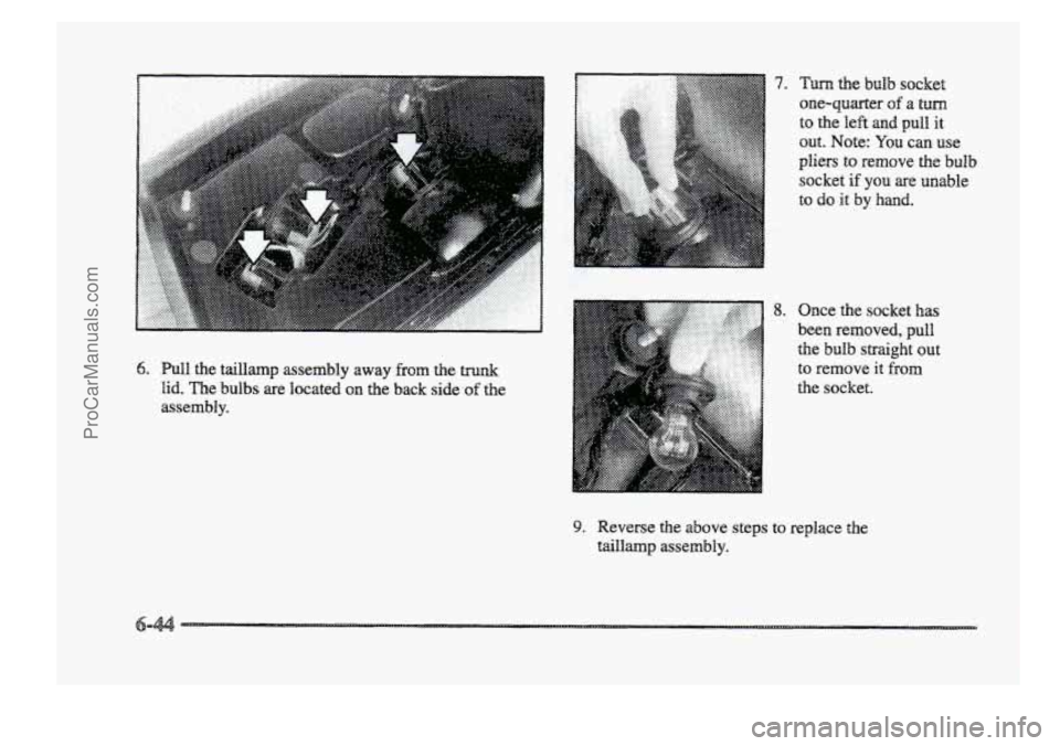 BUICK PARK AVENUE 1998 Owners Manual IC.,. . - -.- .
9. Reverse the above steps
taillamp assembly.
7.
8. Once the socket has
been removed, pull
the bulb straight out
to remove it from
the socket.
to replace the
-44
ProCarM BUICK PARK AVENUE 1998 Owners Manual IC.,. . - -.- .
9. Reverse the above steps
taillamp assembly.
7.
8. Once the socket has
been removed, pull
the bulb straight out
to remove it from
the socket.
to replace the
-44
ProCarM