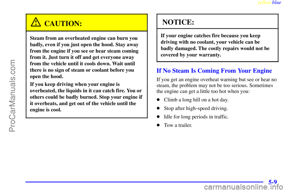 BUICK PARK AVENUE 1999  Owners Manual yellowblue     
5-9
CAUTION:
Steam from an overheated engine can burn you
badly, even if you just open the hood. Stay away
from the engine if you see or hear steam coming
from it. Just turn it off and