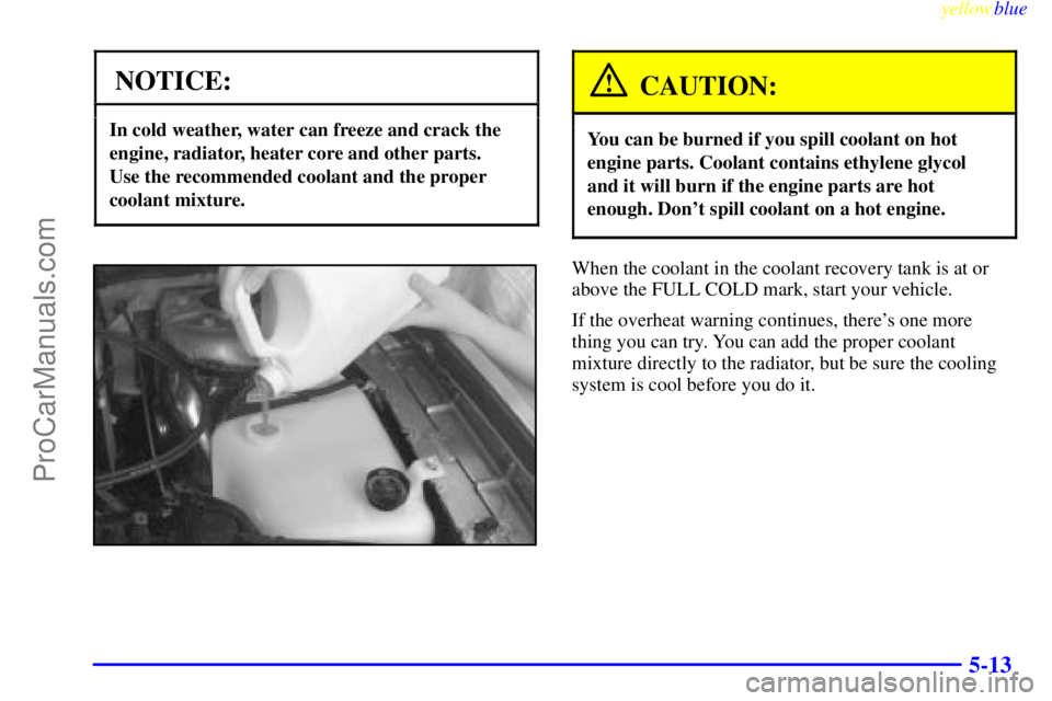 BUICK PARK AVENUE 1999  Owners Manual yellowblue     
5-13
NOTICE:
In cold weather, water can freeze and crack the
engine, radiator, heater core and other parts. 
Use the recommended coolant and the proper
coolant mixture.
CAUTION:
You ca