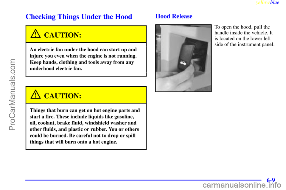BUICK PARK AVENUE 1999  Owners Manual yellowblue     
6-9
Checking Things Under the Hood
CAUTION:
An electric fan under the hood can start up and
injure you even when the engine is not running.
Keep hands, clothing and tools away from any