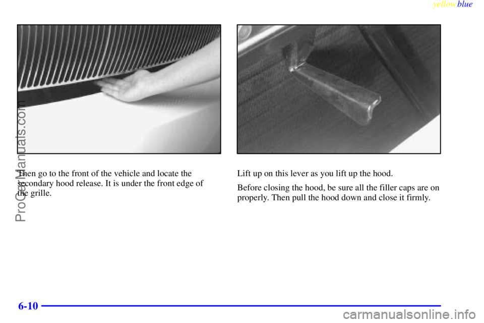 BUICK PARK AVENUE 1999  Owners Manual yellowblue     
6-10
Then go to the front of the vehicle and locate the
secondary hood release. It is under the front edge of 
the grille.Lift up on this lever as you lift up the hood.
Before closing 