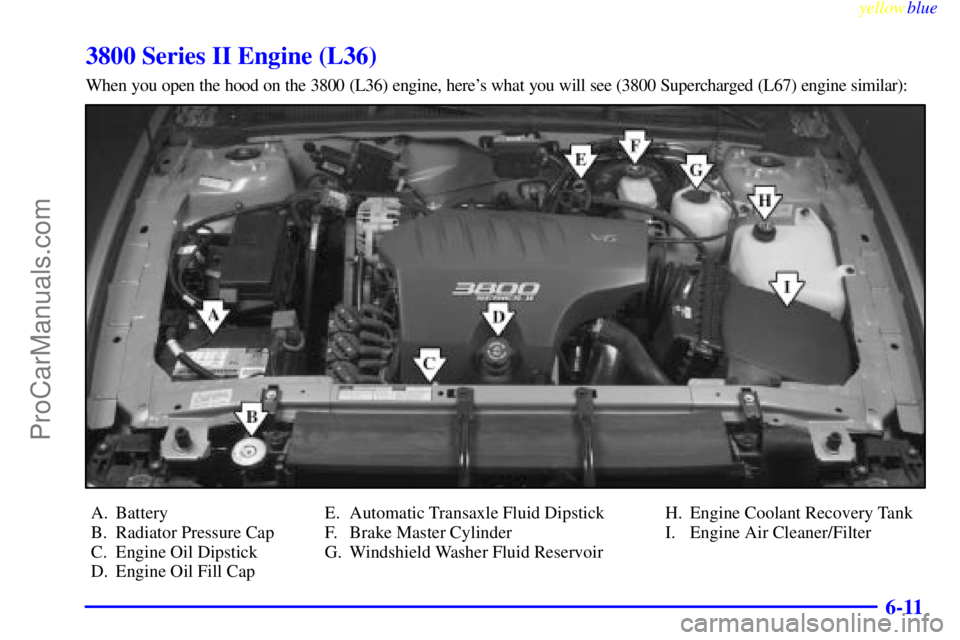 BUICK PARK AVENUE 1999  Owners Manual yellowblue     
6-11
3800 Series II Engine (L36)
When you open the hood on the 3800 (L36) engine, heres what you will see (3800 Supercharged (L67) engine similar):
A. Battery
B. Radiator Pressure Cap