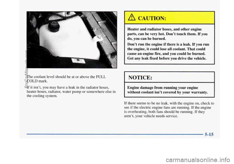 BUICK PARK AVENUE 1997  Owners Manual The coolant level should  be at or  above  the FULL 
COLD mark. 
If it isn’t, you may  have a leak in the radiator  hoses, 
heater  hoses,  radiator,  water pump  or  somewhere  else in 
the  coolin