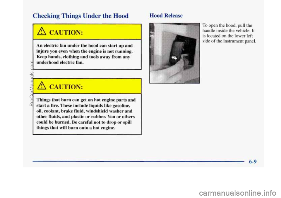 BUICK PARK AVENUE 1997 Owners Manual Checking Things Under the Hood Hood Release
A CAUTION:
An electric fan under the hood can start up and
injure you even when the engine is not running.
Keep hands, clothing and tools a BUICK PARK AVENUE 1997 Owners Manual Checking Things Under the Hood Hood Release
A CAUTION:
An electric fan under the hood can start up and
injure you even when the engine is not running.
Keep hands, clothing and tools a
