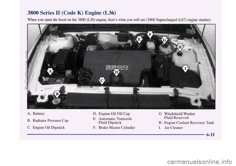 BUICK PARK AVENUE 1997 Owners Manual 3800 Series I1 (Code K) Engine (L36)
When you open the hood on the 3800 (L36) engine, here’s what you will see (3800 Supercharged (L67) engine similar):
“14 ,....
A. Battcry
D. Engine BUICK PARK AVENUE 1997 Owners Manual 3800 Series I1 (Code K) Engine (L36)
When you open the hood on the 3800 (L36) engine, here’s what you will see (3800 Supercharged (L67) engine similar):
“14 ,....
A. Battcry
D. Engine