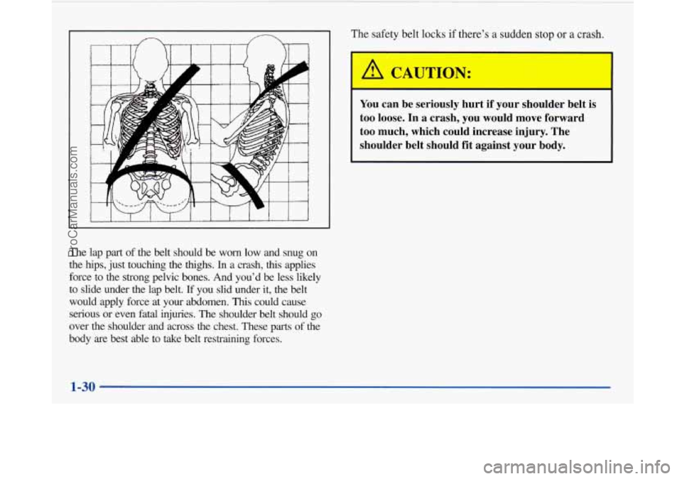 BUICK PARK AVENUE 1997 Service Manual The lap part of the belt should be worn low and snug on
the
hips, just touching the thighs. In a crash, this applies
force to the strong pelvic bones. And you’d be less li BUICK PARK AVENUE 1997 Service Manual The lap part of the belt should be worn low and snug on
the
hips, just touching the thighs. In a crash, this applies
force to the strong pelvic bones. And you’d be less li