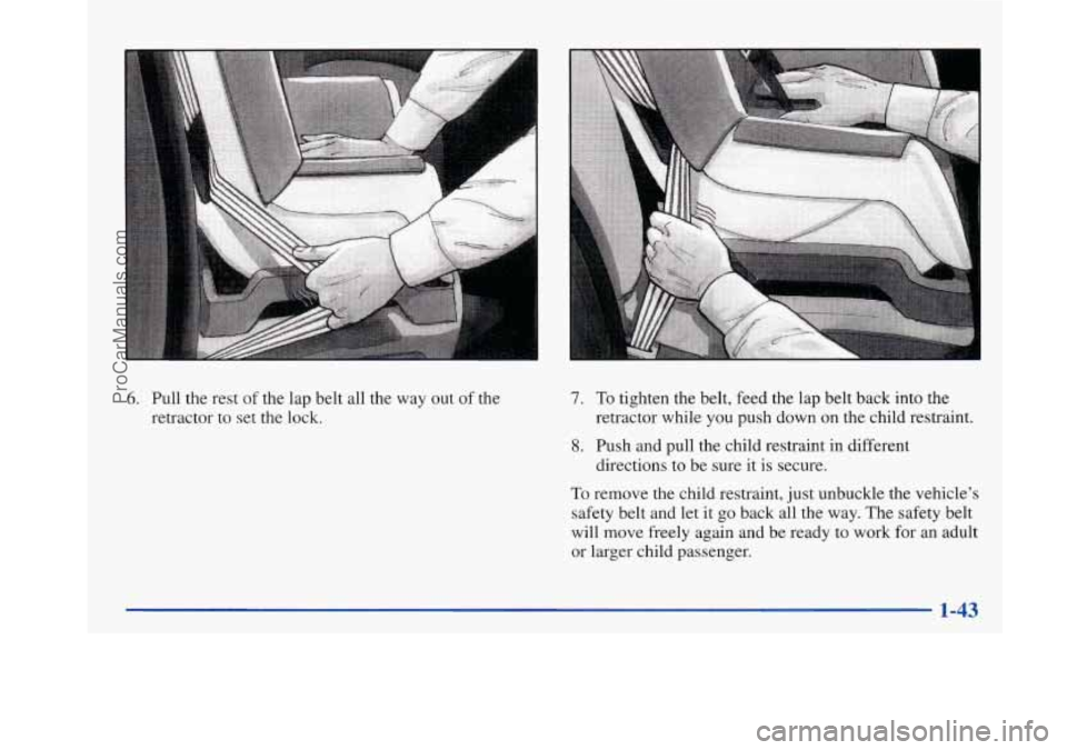 BUICK PARK AVENUE 1997 Workshop Manual 6. Pull the rest of the lap belt all the way out of the
retractor to set the lock. 7. To tighten the belt, feed the lap belt back into the
retractor while you push down on the child BUICK PARK AVENUE 1997 Workshop Manual 6. Pull the rest of the lap belt all the way out of the
retractor to set the lock. 7. To tighten the belt, feed the lap belt back into the
retractor while you push down on the child
