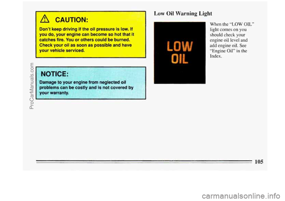 BUICK REGAL 1993  Owners Manual Don’t  keep  driving if the  oil pressure  is low. If &I 
you do,  your  engine  can  become so hot  that  it 
catches  fire.  You  or others  could  be burned. 
Check  your  oil  as  soon 
as possi