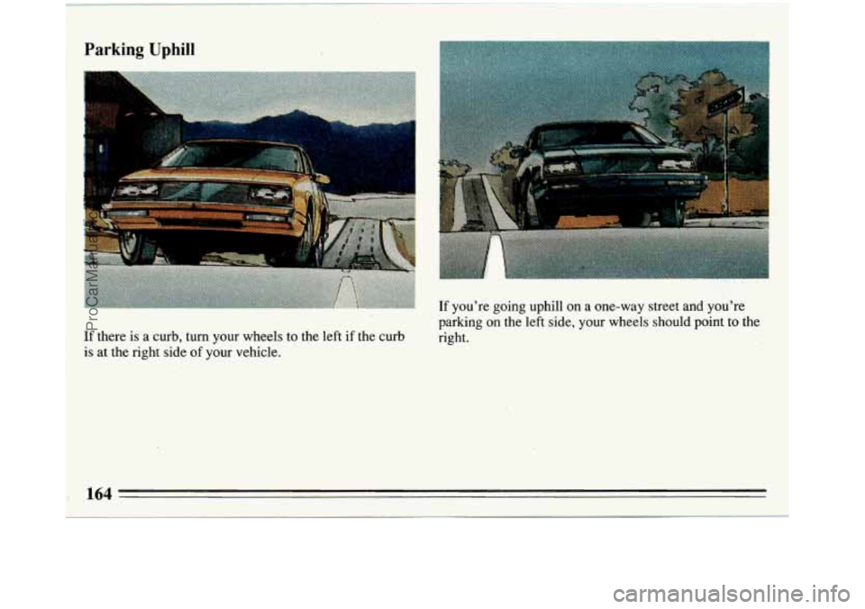 BUICK REGAL 1993 Owners Manual Parking Uphill
If there is a curb, turn your wheels to the left if the curb
is at the right side of your vehicle.
If youre going uphill on a one-way street and youre
parking on th BUICK REGAL 1993 Owners Manual Parking Uphill
If there is a curb, turn your wheels to the left if the curb
is at the right side of your vehicle.
If youre going uphill on a one-way street and youre
parking on th