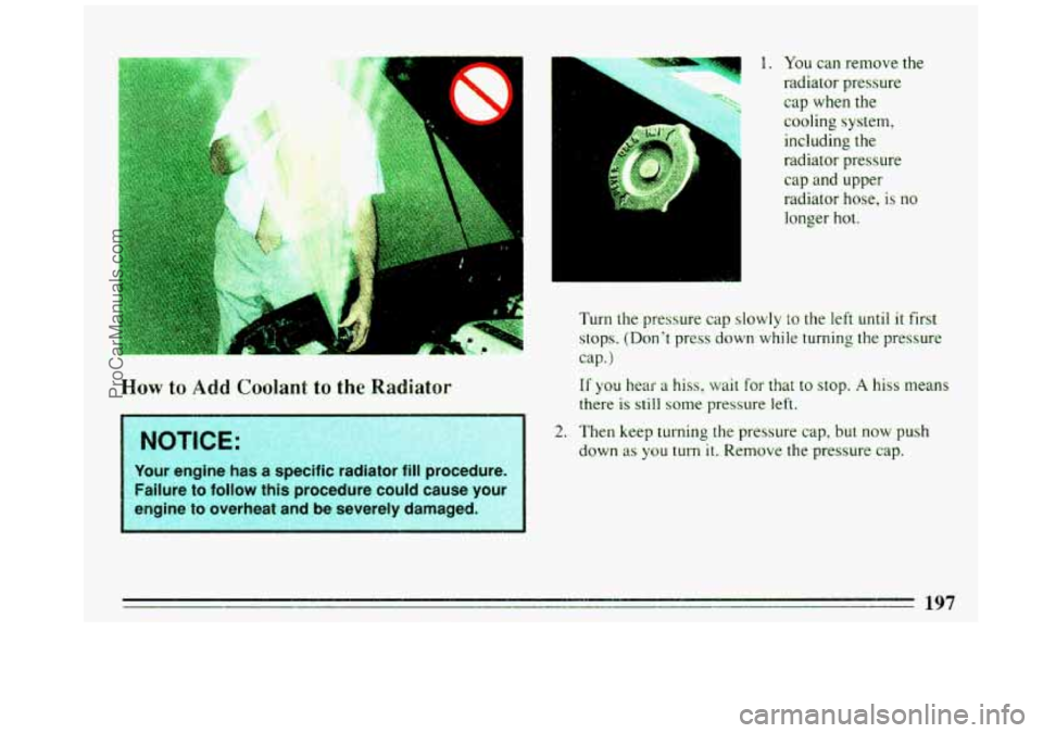 BUICK REGAL 1993 Owners Manual x 8
ir
..-,
How to Add Coolant to the Radiator
7 1. You can remove the
radiator pressure
cap when
the
cooling system,
including the
radiator pressure
cap and upper
radiator hose, is BUICK REGAL 1993 Owners Manual x 8
ir
..-,
How to Add Coolant to the Radiator
7 1. You can remove the
radiator pressure
cap when
the
cooling system,
including the
radiator pressure
cap and upper
radiator hose, is