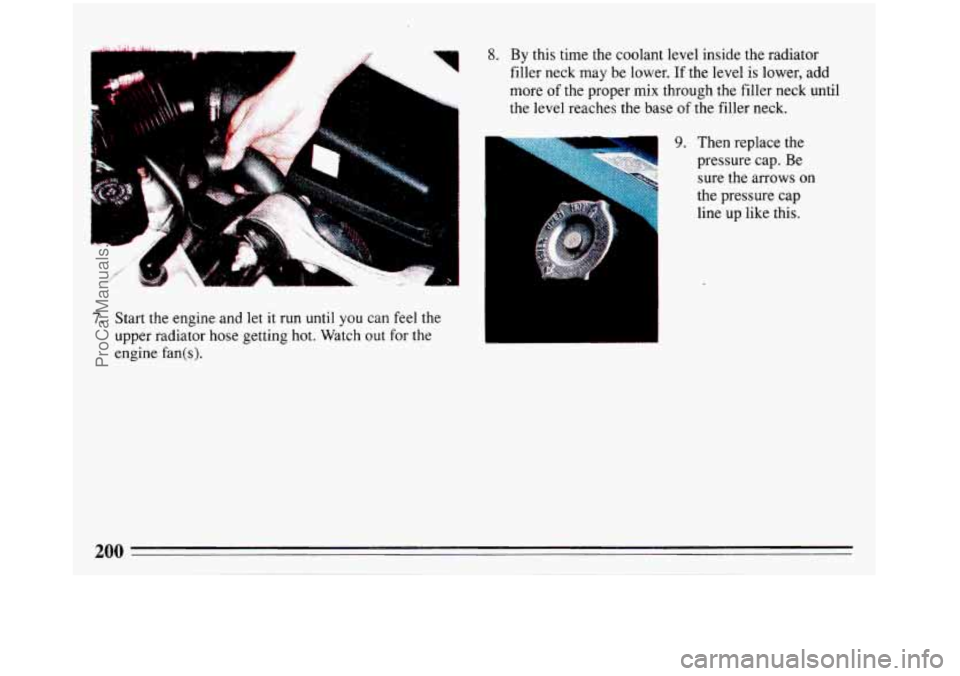 BUICK REGAL 1993  Owners Manual I. 
1 
7. Start the  engine  and let it run  until  you can feel the 
upper radiator hose  getting  hot. Watch out for the 
engine  fan(s). 
8. By this time the coolant level inside the radiator 
fill