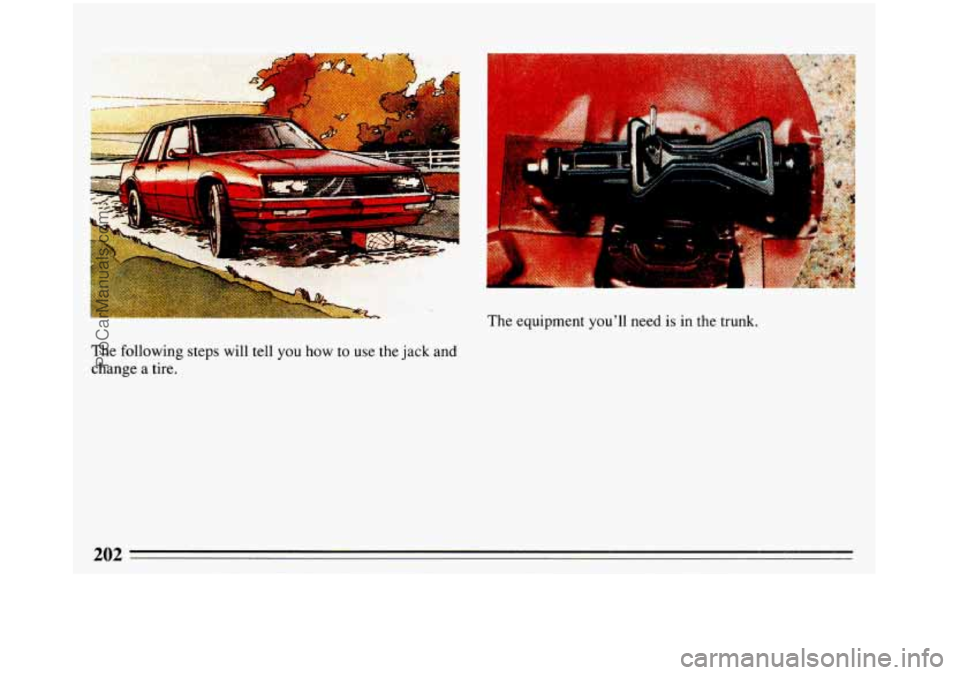 BUICK REGAL 1993  Owners Manual The following  steps will tell  you  how to use the jack and 
change 
a tire. 
-I% 
The  equipment youll  need  is  in the trunk. 
202 
ProCarManuals.com 