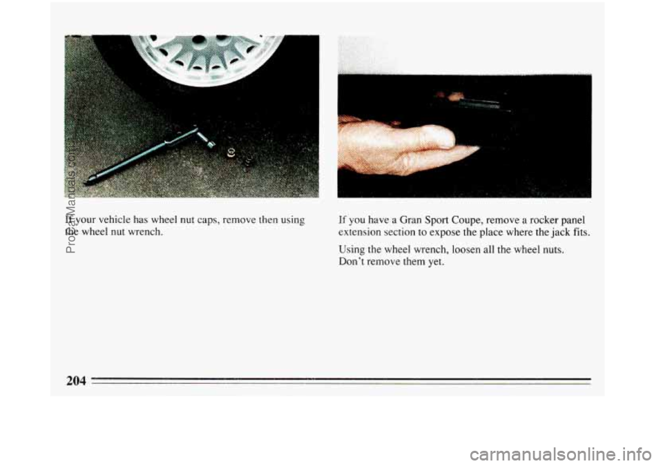 BUICK REGAL 1993  Owners Manual .. 
If your vehicle has wheel nut caps,  remove then using 
the  wheel nut wrench. If you  have a Gran Sport Coupe, remove a rocker panel 
extension section  to  expose the place  where the  jack 
fit