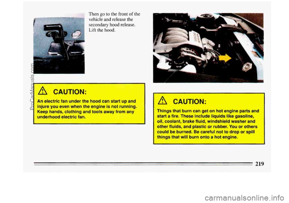 BUICK REGAL 1993 Owners Manual ,. ;, ., ,:,’:*< ,. j ;;.*g .;,;.a> -*:~:inh Then go to the front of the
vehicle and release the
secondary hood release.
Lift the hood.
4 CAUTION:
An electric fr ~- der the hood can s BUICK REGAL 1993 Owners Manual ,. ;, ., ,:,’:*< ,. j ;;.*g .;,;.a> -*:~:inh Then go to the front of the
vehicle and release the
secondary hood release.
Lift the hood.
4 CAUTION:
An electric fr ~- der the hood can s