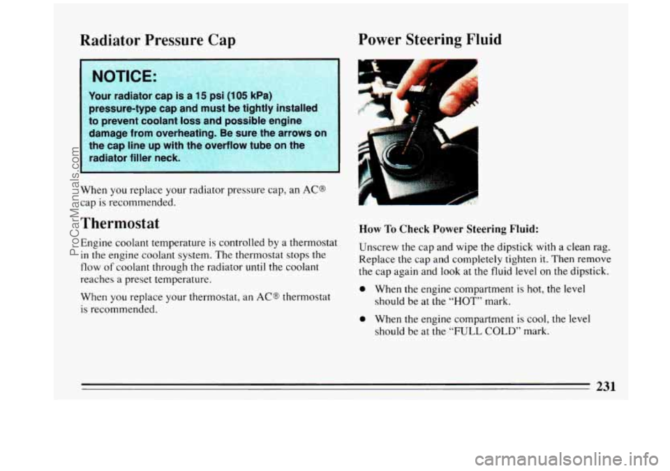 BUICK REGAL 1993 Owners Manual Radiator Pressure Cap rower Steerlng Fluid
1; NOTICE: 1
.:: Your radiator cap is a 15 psi (1 05 kPa)
:: pressure-type cap and must be tightly installed
,*to prevent coolant loss and pos BUICK REGAL 1993 Owners Manual Radiator Pressure Cap rower Steerlng Fluid
1; NOTICE: 1
.:: Your radiator cap is a 15 psi (1 05 kPa)
:: pressure-type cap and must be tightly installed
,*to prevent coolant loss and pos