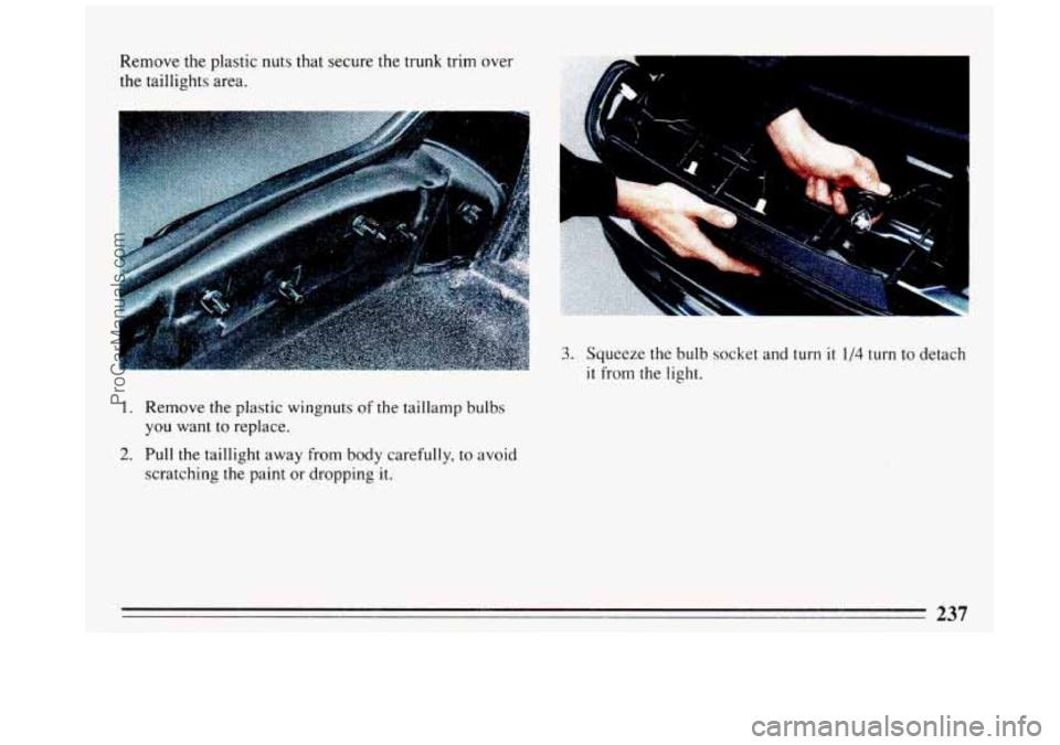 BUICK REGAL 1993 Owners Manual Remove the plastic nuts that secure the trunk trim over
the taillights area.
1. Remove the plastic wingnuts of the taillamp bulbs
you want
to replace.
2. Pull the taillight away from body BUICK REGAL 1993 Owners Manual Remove the plastic nuts that secure the trunk trim over
the taillights area.
1. Remove the plastic wingnuts of the taillamp bulbs
you want
to replace.
2. Pull the taillight away from body