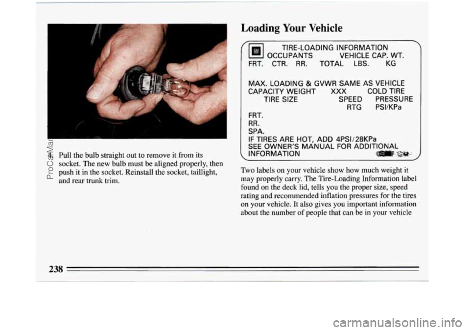 BUICK REGAL 1993 Owners Manual I
4. Pull the bulb straight out to remove it from its
socket. The new bulb must be aligned properly, then
push it in the socket. Reinstall the socket, taillight,
and rear trunk t BUICK REGAL 1993 Owners Manual I
4. Pull the bulb straight out to remove it from its
socket. The new bulb must be aligned properly, then
push it in the socket. Reinstall the socket, taillight,
and rear trunk t
