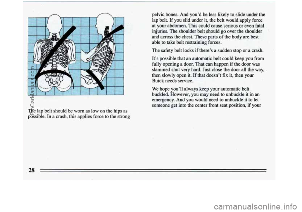 BUICK REGAL 1993 Owners Manual pelvic bones. And you’d be less likely to slide under the
lap belt. If you slid under it, the belt would apply force
at your abdomen. This could cause serious or even fatal
injur BUICK REGAL 1993 Owners Manual pelvic bones. And you’d be less likely to slide under the
lap belt. If you slid under it, the belt would apply force
at your abdomen. This could cause serious or even fatal
injur