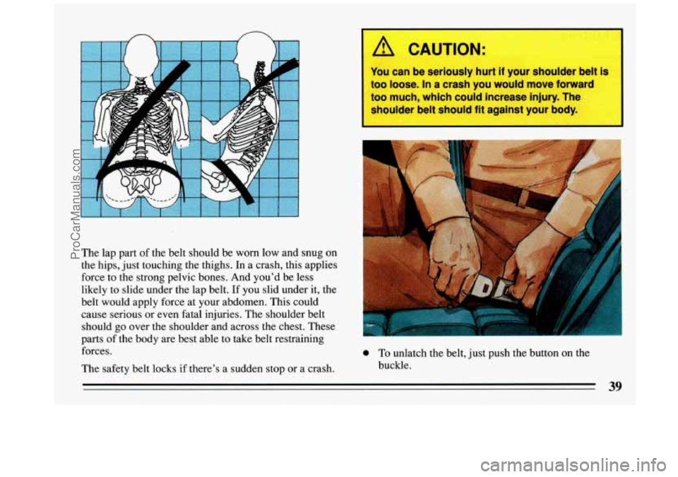 BUICK REGAL 1993 Service Manual The  lap  part of the  belt  should  be worn low and  snug  on 
the  hips,  just  touching  the  thighs. In a  crash,  this applies 
force  to the  strong  pelvic bones.  And  youd be less 
likely  t