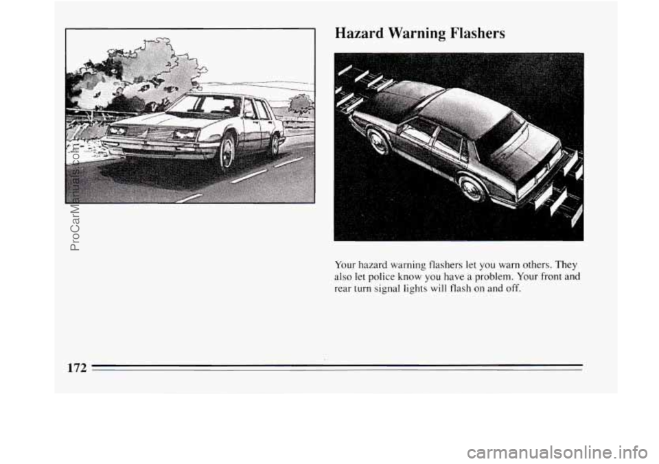 BUICK REGAL 1994  Owners Manual Hazard Warning Flashers 
Your hazard  warning  flashers let you warn  others.  They 
also 
let police know you have  a  problem.  Your front  and 
rear  turn 
signal lights will flash on and off. 
172