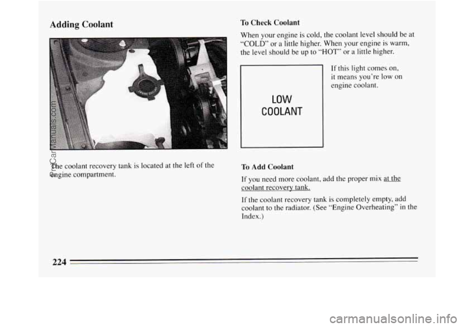 BUICK REGAL 1994  Owners Manual Adding Coolant 
The coolant recovery  tank is located at the left of the 
engine  compartment. 
To Check  Coolant 
When  your  engine is cold, the coolant level should  be at 
“COLD” or a little  