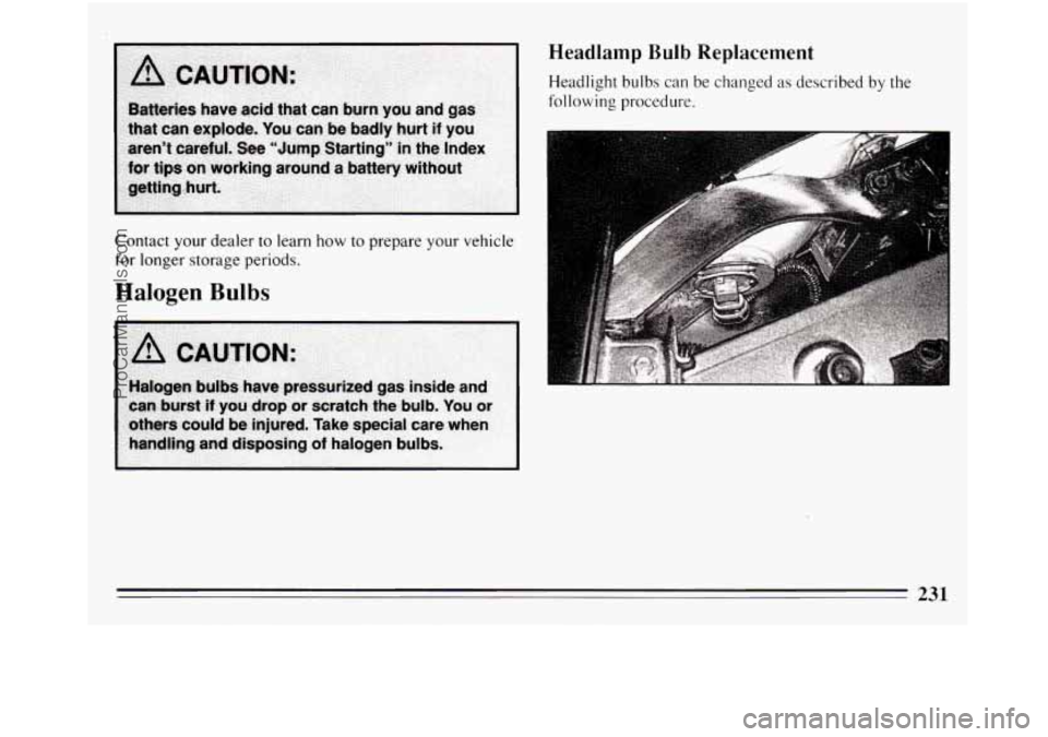 BUICK REGAL 1994  Owners Manual Contact your dealer  to  learn how to prepare  your vehicle 
for  longer  storage  periods. 
Halogen Bulbs 
Headlamp  Bulb  Replacement 
Headlight bulbs  can  be changed as described  by the 
followin
