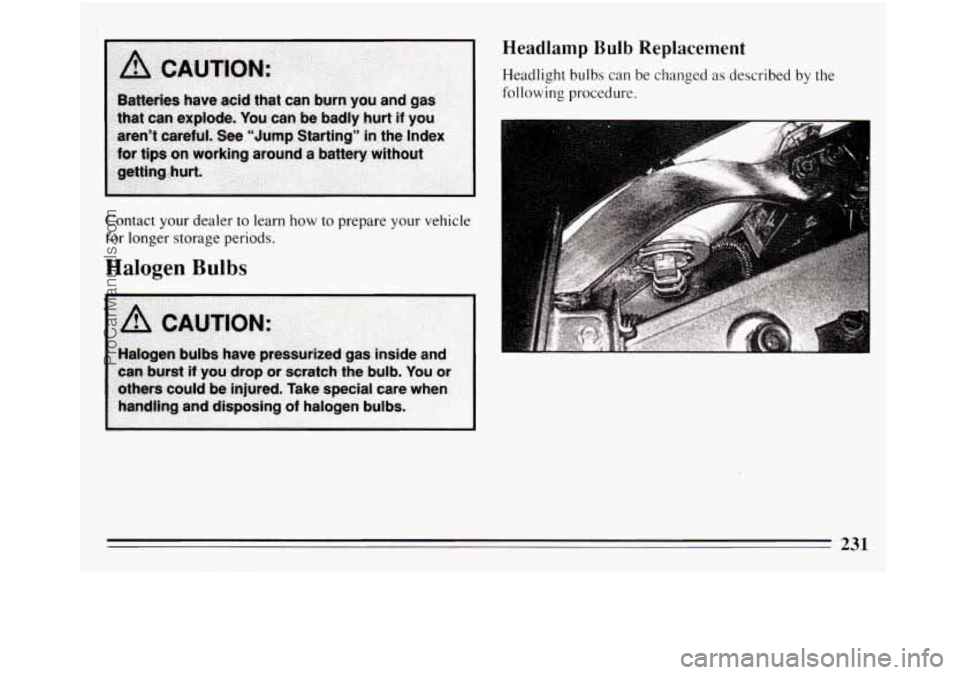 BUICK REGAL 1994 Owners Manual Contact your dealer to learn how to prepare your vehicle
for longer storage periods.
Halogen Bulbs
Headlamp Bulb Replacement
Headlight bulbs can be changed as described by the
followin BUICK REGAL 1994 Owners Manual Contact your dealer to learn how to prepare your vehicle
for longer storage periods.
Halogen Bulbs
Headlamp Bulb Replacement
Headlight bulbs can be changed as described by the
followin