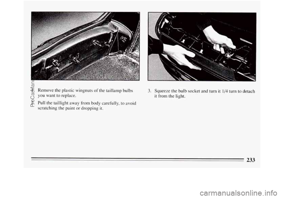 BUICK REGAL 1994  Owners Manual 1. Remove the plastic wingnuts of the taillamp bulbs 
you  want  to  replace. 
2. Pull  the taillight away from  body carefully, to avoid 
scratching 
the paint  or dropping it. 
3. Squeeze the  bulb 