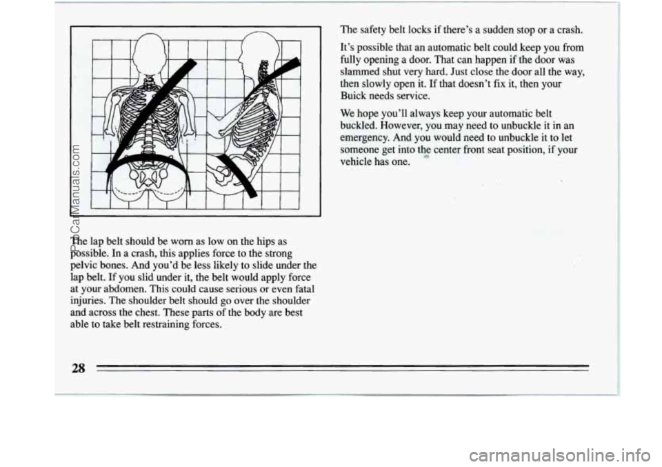 BUICK REGAL 1994 Owners Manual The  safety  belt  locks  if  there’s  a  sudden  stop  or  a  crash.\
 
It’s  possible  that  an  automatic  belt  could  keep  you  from 
fully  opening  a  door.  That  can  happen if the  door