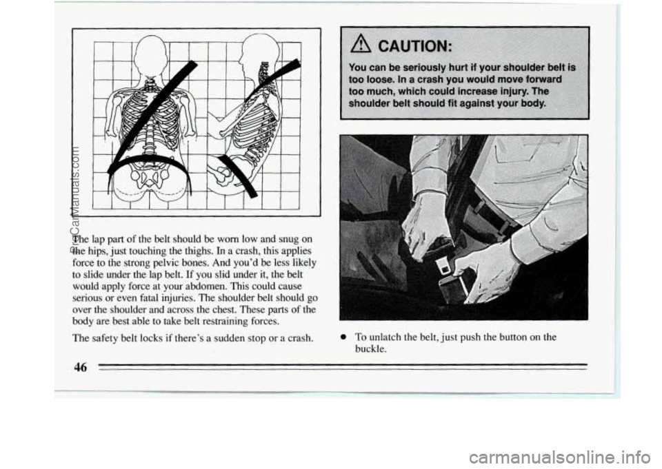 BUICK REGAL 1994 Service Manual The  lap  part  of  the  belt  should be worn  low  and  snug on 
the  hips,  just touching  the  thighs.  In  a  crash,  this  applies 
force  to  the  strong  pelvic  bones.  And  youd  be  less  l