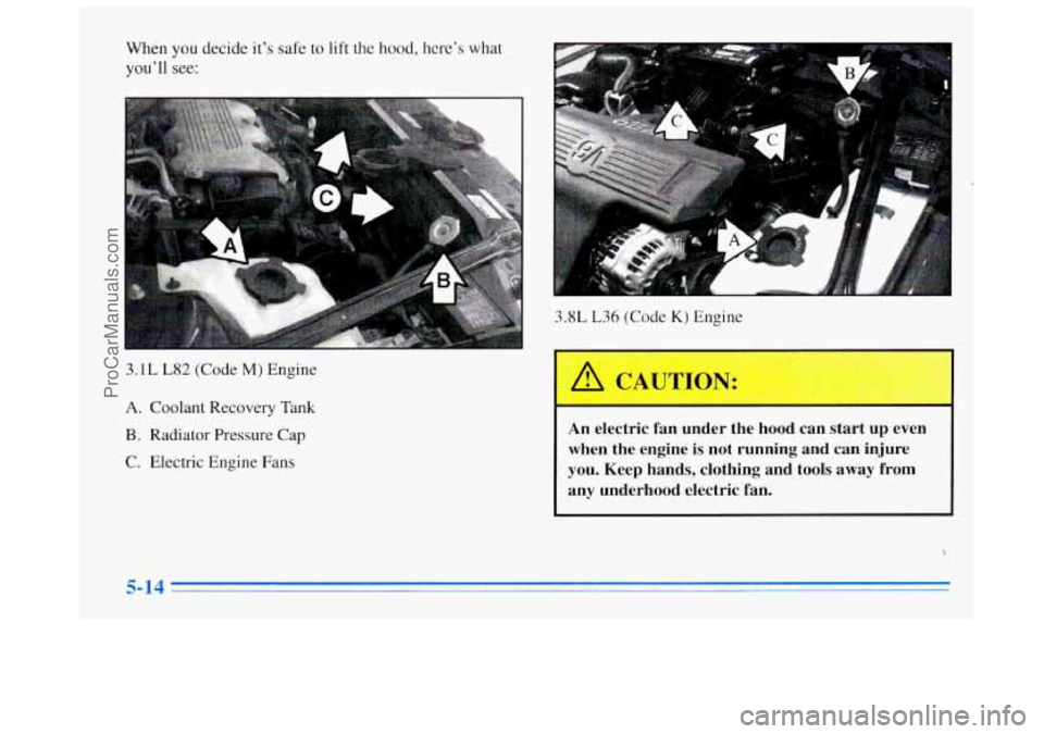 BUICK REGAL 1996 Owners Manual When you decide it’s safe to lift the hood, here’s what
you’ll see:
3.1L L82 (Code M) Engine
A. Coolant Recovery Tank
B. Radiator Pressure Cap
C. Electric Engine Fans
r R:
3.8L L36 (Cod BUICK REGAL 1996 Owners Manual When you decide it’s safe to lift the hood, here’s what
you’ll see:
3.1L L82 (Code M) Engine
A. Coolant Recovery Tank
B. Radiator Pressure Cap
C. Electric Engine Fans
r R:
3.8L L36 (Cod