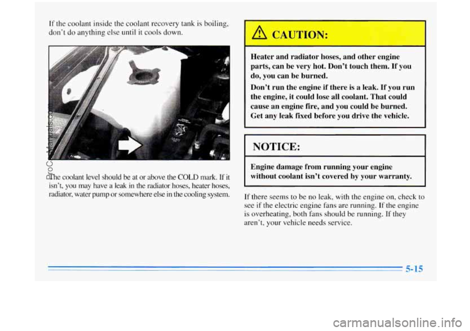 BUICK REGAL 1996 Owners Manual If the coolant inside the coolant recovery tank is boiling,
don’t do anything else until it cools down.
The coolant level should be at or above the COLD mark. If it
isn’t, you BUICK REGAL 1996 Owners Manual If the coolant inside the coolant recovery tank is boiling,
don’t do anything else until it cools down.
The coolant level should be at or above the COLD mark. If it
isn’t, you