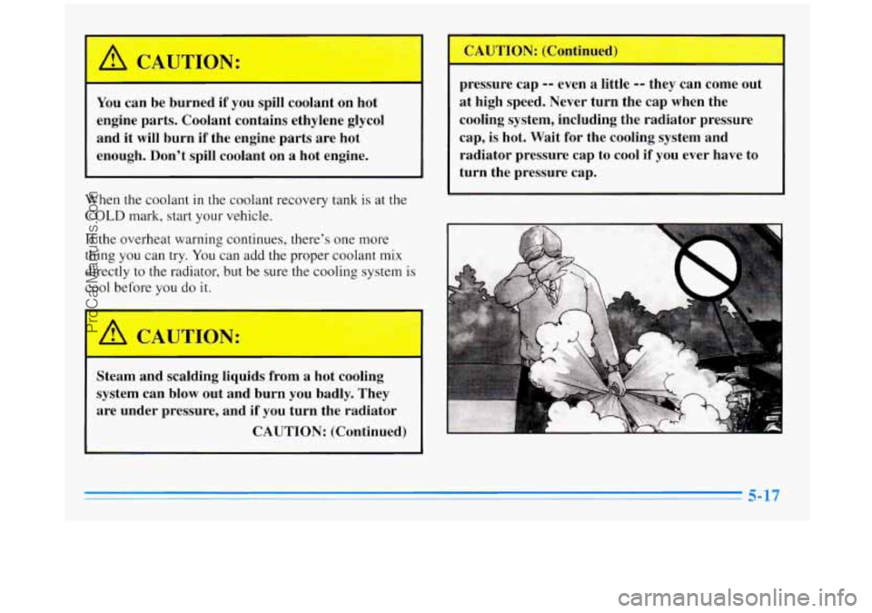 BUICK REGAL 1996  Owners Manual c 
You can be burned  if  you spill coolant on hot 
engine  parts. Coolant contains ethylene  glycol 
and  it will  burn  if the  engine  parts  are  hot 
enough.  Don’t spill coolant on a  hot engi