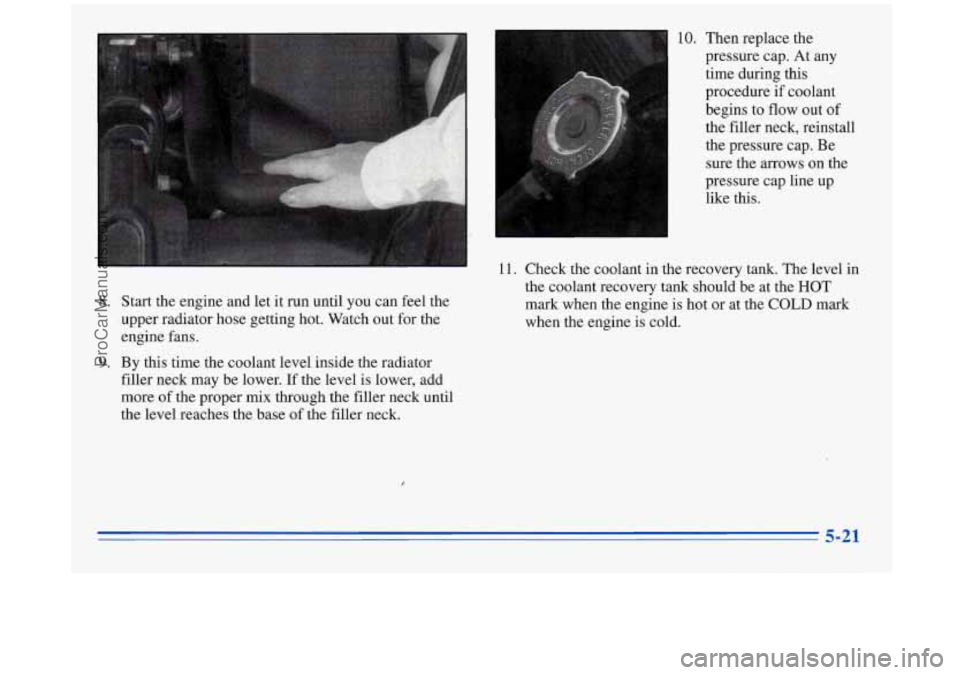 BUICK REGAL 1996  Owners Manual 8. Start  the  engine  and  let it  run until you can  feel  the 
,.upper  radiator  hose  getting  hot.  Watch out  for  the 
engine  fans. 
filler  neck  may be lower. If the  level  is lower,  add 