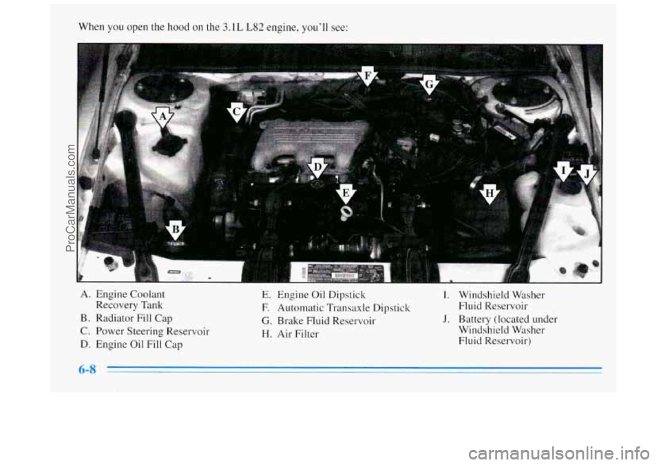 BUICK REGAL 1996 Owners Manual When you open the hood on the 3.1L L82 engine, youll see:
D
A. Engine Coolant E. Engine Oil Dipstick I. Windshield Washer
Recovery Tank F. Automatic Transaxle Dipstick
Fluid Reservoir
B. Ra BUICK REGAL 1996 Owners Manual When you open the hood on the 3.1L L82 engine, youll see:
D
A. Engine Coolant E. Engine Oil Dipstick I. Windshield Washer
Recovery Tank F. Automatic Transaxle Dipstick
Fluid Reservoir
B. Ra