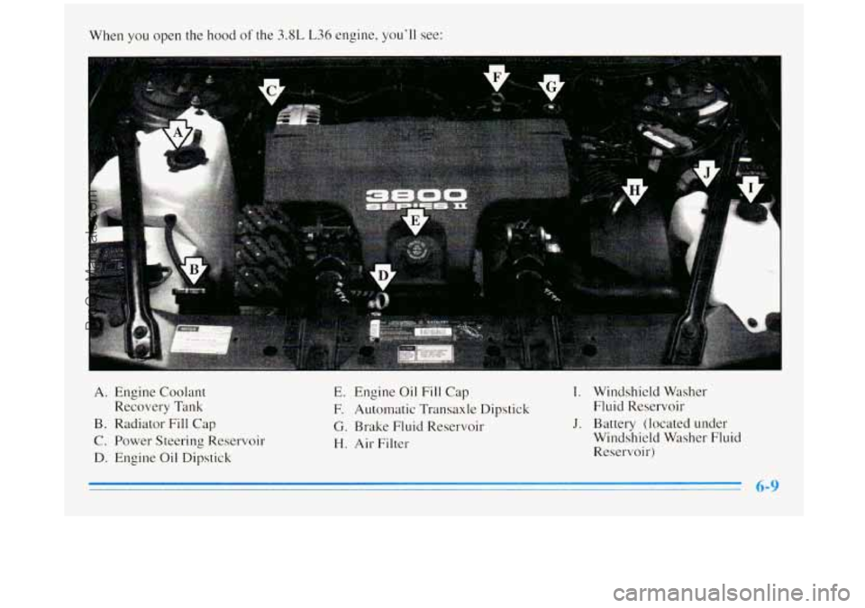 BUICK REGAL 1996  Owners Manual When you open  the hood of the 3.8L L36 engine,  you’ll  see: 
r 
A. Engine Coolant 
Recovery  Tank 
B. Radiator Fill Cap 
C. Power  Steering  Reservoir 
D.  Engine  Oil Dipstick 
It‘ A 
E. Engine