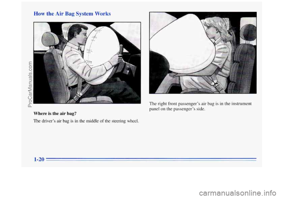 BUICK REGAL 1996 Owners Guide How the Ail a D Svstem Works
Where is the air bag?
The driver’s air bag is in the middle of the steering wheel. The
right front passenger’s
air bag is in the instrument
panel
on the pa BUICK REGAL 1996 Owners Guide How the Ail a D Svstem Works
Where is the air bag?
The driver’s air bag is in the middle of the steering wheel. The
right front passenger’s
air bag is in the instrument
panel
on the pa