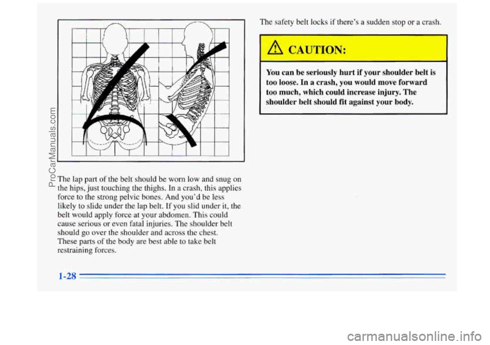 BUICK REGAL 1996 Service Manual The  lap part of the belt‘ should  be worn  low and snug on 
the hips, just touching the thighs.  In a crash, this applies 
force 
to the  strong pelvic  bones. And you’d  be less 
likely to slide