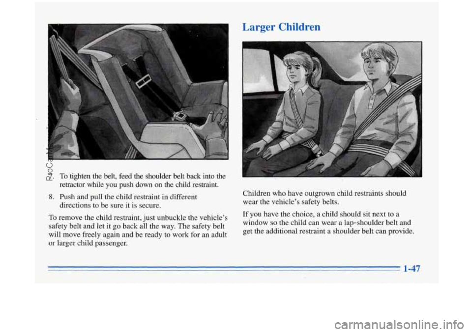 BUICK REGAL 1996 Repair Manual 7. To tighten the belt, feed the shoulder belt back into the
retractor while you push down on the child restraint.
8. Push and pull the child restraint in different
directions to BUICK REGAL 1996 Repair Manual 7. To tighten the belt, feed the shoulder belt back into the
retractor while you push down on the child restraint.
8. Push and pull the child restraint in different
directions to