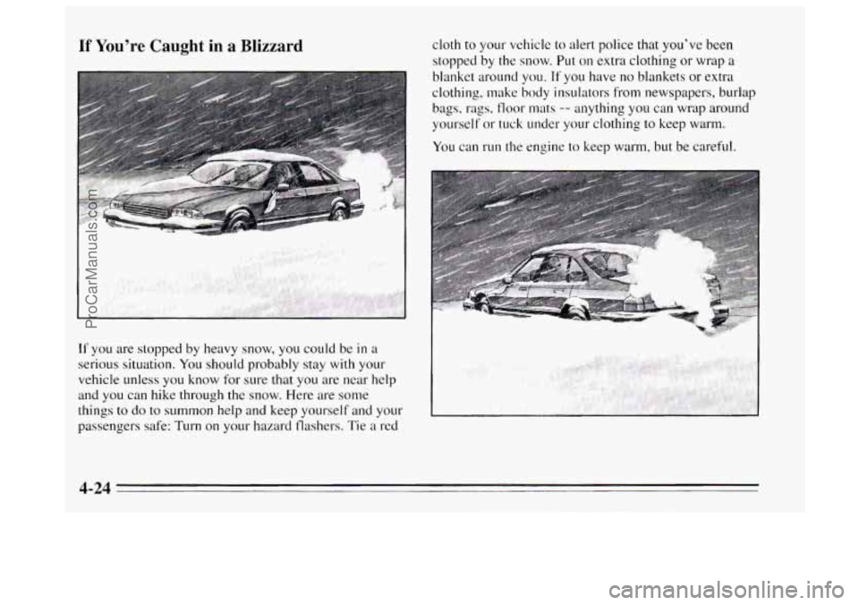 BUICK REGAL 1995  Owners Manual If You’re Caught in a Blizzard 
If you are stopped by heavy snow, you could  be in a 
serious situation. 
You should probably  stay with your 
vehicle unless  you  know for  sure that you  are near 