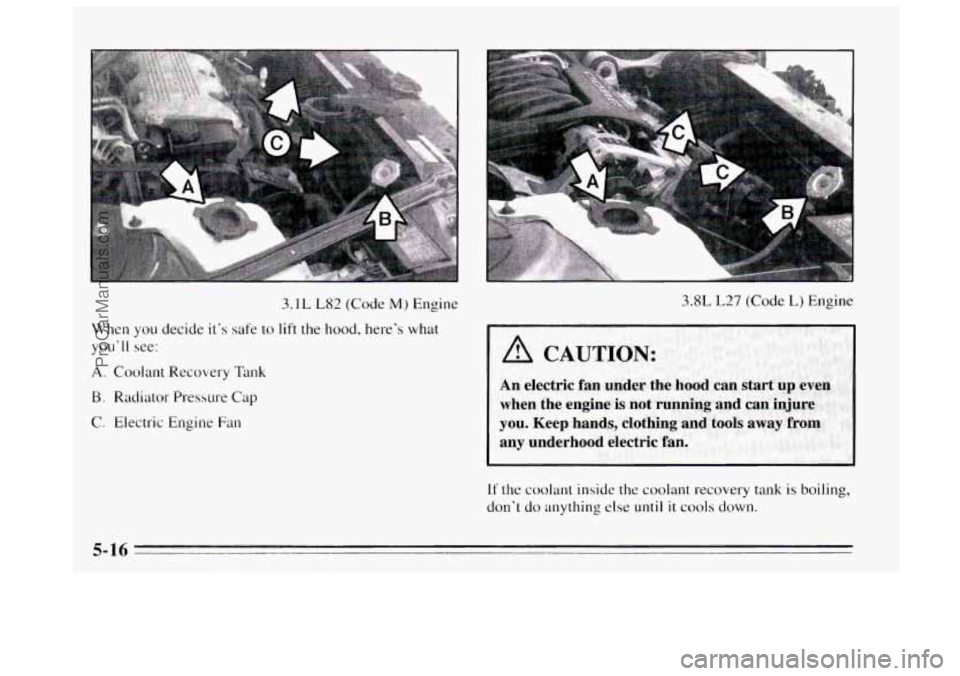 BUICK REGAL 1995 Owners Manual 3.1 L L82 (Code M) Engine
When
you decide it’s safe to lift the hood, here’s what
you’
I1 see:
A. Coolant Recovery Tank
B. Radiator Pressure Cap
C. Electric Engine Fan
3.8L L27 (Code BUICK REGAL 1995 Owners Manual 3.1 L L82 (Code M) Engine
When
you decide it’s safe to lift the hood, here’s what
you’
I1 see:
A. Coolant Recovery Tank
B. Radiator Pressure Cap
C. Electric Engine Fan
3.8L L27 (Code