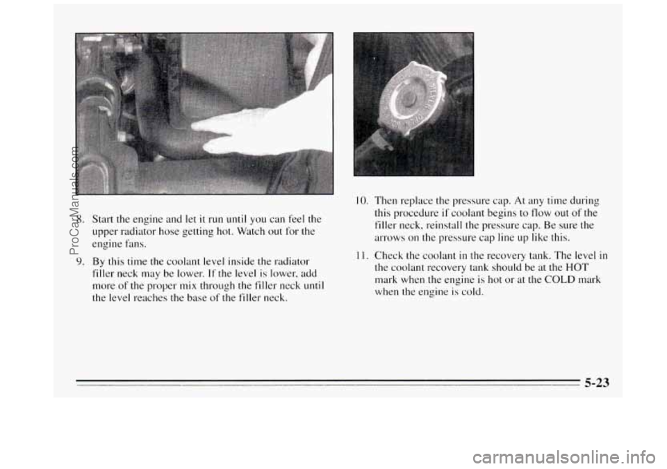 BUICK REGAL 1995 Owners Manual 8. Start the engine and let it run until you can feel the
upper radiator hose getting hot. Watch
out for the
engine hns.
9. By this time the coolant level inside the radiator
filler neck BUICK REGAL 1995 Owners Manual 8. Start the engine and let it run until you can feel the
upper radiator hose getting hot. Watch
out for the
engine hns.
9. By this time the coolant level inside the radiator
filler neck