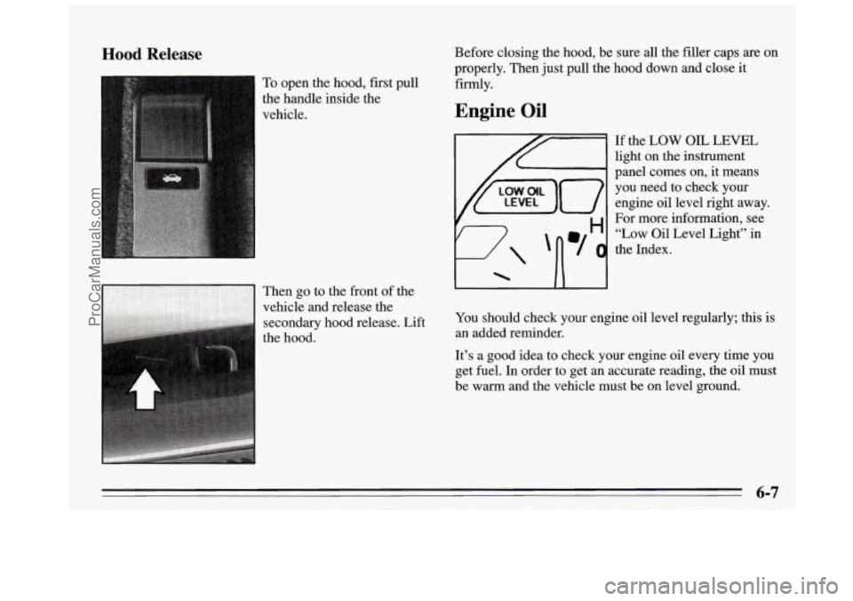 BUICK REGAL 1995 Owners Manual Hood Release
To open the hood, first pull
the handle inside the
vehicle.
Then go to
the front of the
vehicle and release the
secondary hood release. Lift
the hood. Before closin BUICK REGAL 1995 Owners Manual Hood Release
To open the hood, first pull
the handle inside the
vehicle.
Then go to
the front of the
vehicle and release the
secondary hood release. Lift
the hood. Before closin