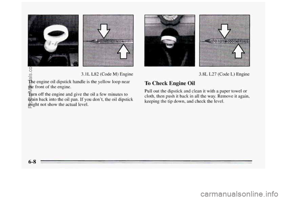 BUICK REGAL 1995 Owners Manual 3.1 L L82 (Code M) Engine
The engine oil dipstick handle
is the yellow loop near
the front of the engine.
Turn off the engine and give the oil a few minutes to
drain back into the oi BUICK REGAL 1995 Owners Manual 3.1 L L82 (Code M) Engine
The engine oil dipstick handle
is the yellow loop near
the front of the engine.
Turn off the engine and give the oil a few minutes to
drain back into the oi