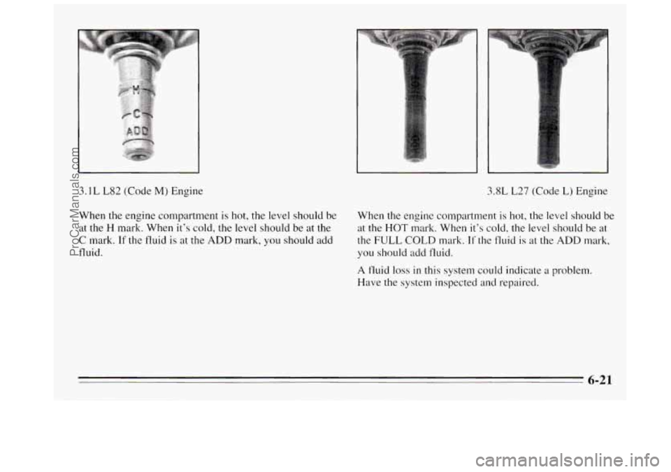 BUICK REGAL 1995 Owners Manual 3.1L L82 (Code M) Engine 3.8L L27 (Code L) Engine
When the engine compartment is hot, the level should be
When the engine compartment
is hot, the level should be
at the
H mark. When it’ BUICK REGAL 1995 Owners Manual 3.1L L82 (Code M) Engine 3.8L L27 (Code L) Engine
When the engine compartment is hot, the level should be
When the engine compartment
is hot, the level should be
at the
H mark. When it’